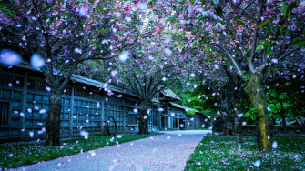 Beautiful Spring Wallpaper
