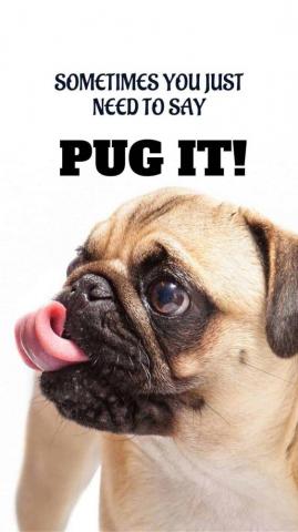 Dog Wallpaper I Phone And Android HD Sized Homescreen