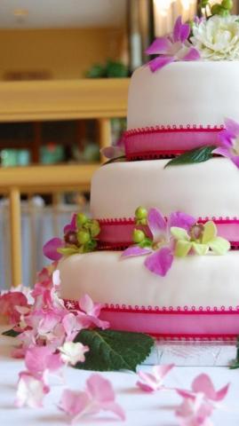 Cake I Phones Wallpaper Phone HD