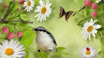 Attract Birds And Butterflies To Your Garden Ap Nursery
