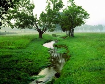 Go Green Wallpaper For Less