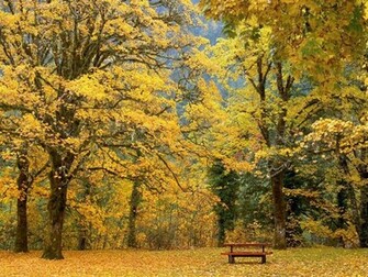 Autumn Scenery Wallpaper Beautiful Desktop