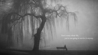 Quotes Bench Lonely Grayscale Lakes Wallpaper Background