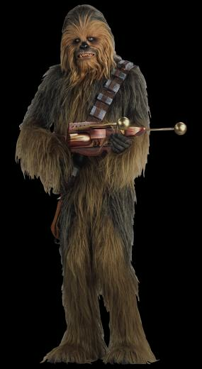 Wookiee Wookieepedia Fandom