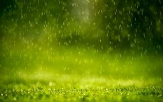 Rain Wallpaper In High Resolution For Definition Background