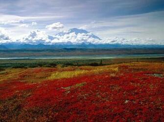 Best Nature HD Wallpaper Pack