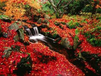 British Columbia Wallpaper