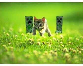 Cats Minecraft Wallpaper
