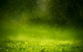 Rainy Day HD Wallpaper Pictures Image Background Photos