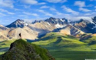 Denali National Park HD Wallpaper