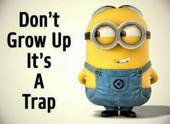 Dont Grow Up Its A Trap Suzuki Cars