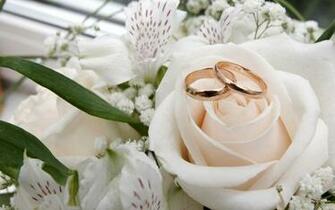 Golden Rings Wedding Wallpaper Full HD With