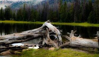 Uinta Mountains Pictures Image