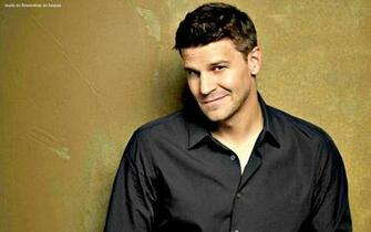 David Boreanaz Wallpaper
