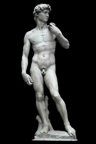 David S Fig Leaf Perhaps By D Brucciani Co About