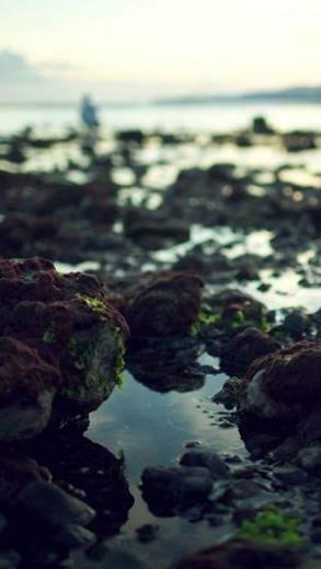 HD Wallpaper From Wallpaperfx Pelfind