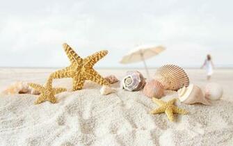 Star Fish Sea Shell Beach Wallpaper