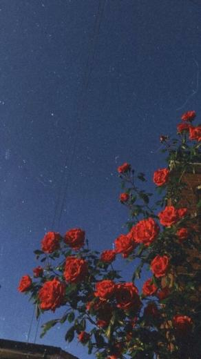 Vintage Wallpaper Aesthetic Quotes HD