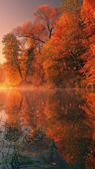 Fall Lanscapes