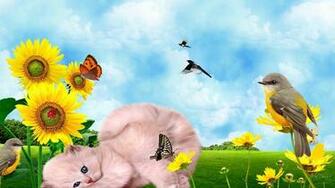 Katze HD Desktop Hintergrund Widescreen High Definition Vollbild