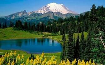 National Park Washington State Forests Landscapes Wallpaper