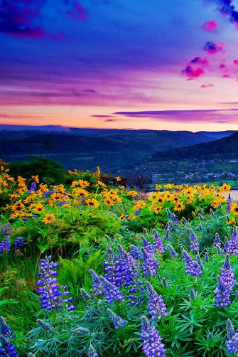 Lush Landscape Wallpaper Spring iPhone