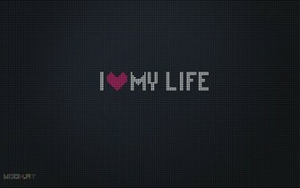 Love My Life HD Wallpaper Optimistic