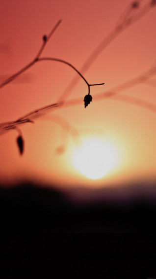 Sunset Aesthetic Wallpaper