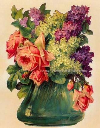 Victorian Rose Prints Gallery Pink Cabbage Roses And