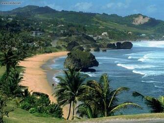Nature Tropical Bathsheba Barbados West Indies Picture Nr