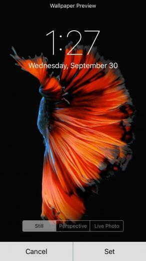 Sent From My 64gb Space Grey iPhone 6s
