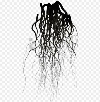 Png Black Veins Image With Transparent Background