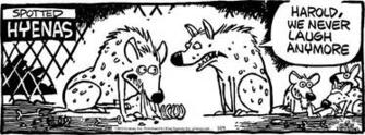Goose And Grim Mother Funny Humor Comicstrip Wallpaper