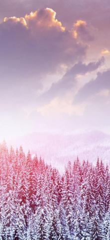4k Winter Wallpaper For Desktop iPad iPhone
