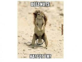 Deez Nuts Wallpaper Top Pics