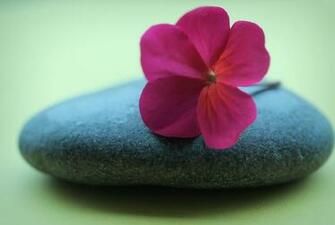 Zen Peace Wallpaper