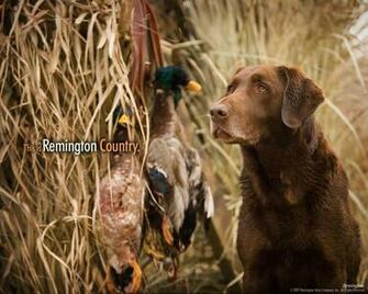 Remington Wallpaper For