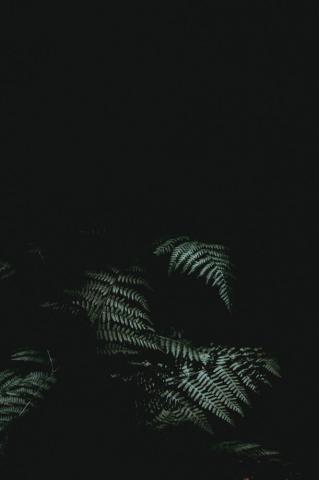 30k Black iPhone Wallpaper Pictures Image On