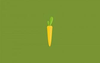 HD Carrot Wallpaper Best Pictures Collection