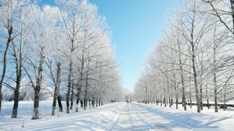 File Name Landscape Snow HDq Background