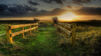Country Scenery Wallpaper
