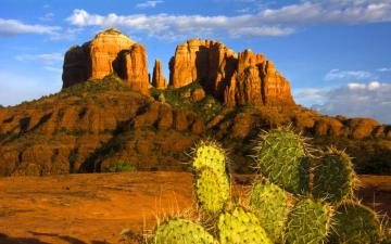 Desert In Sedona Arizona