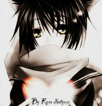 Dark Neko By Ikimonogakarisakura