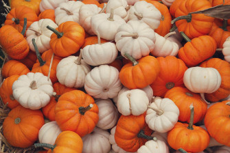 Fall Pumpkin Wallpaper On