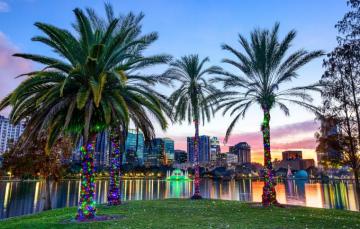 Wallpaper Lake Park Palm Trees Fl Orlando Illumination
