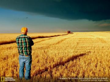 Best American Farmer Wallpaper Smurf