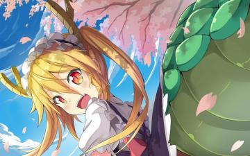 Tohru Miss Kobayashi S Dragon Maid HD Wallpaper And
