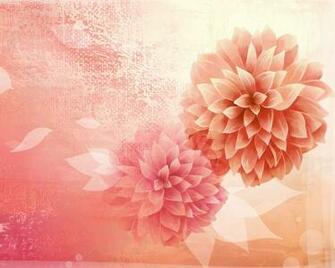 New Floral Wallpaper Feb Screensavers And Background