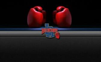 Background Gloves1 From La Boxing Gym Columbia Md In