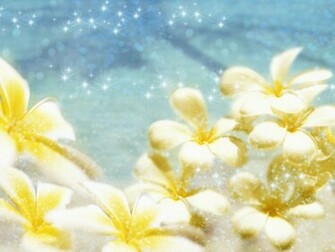 Wedding Flower Background And Wallpaper Part Ppt
